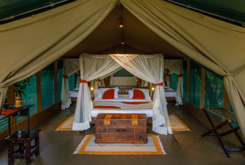 Mara Bush Camp